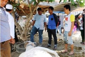 SMP-SMA ITUS saat berkurban di kampus setempat.